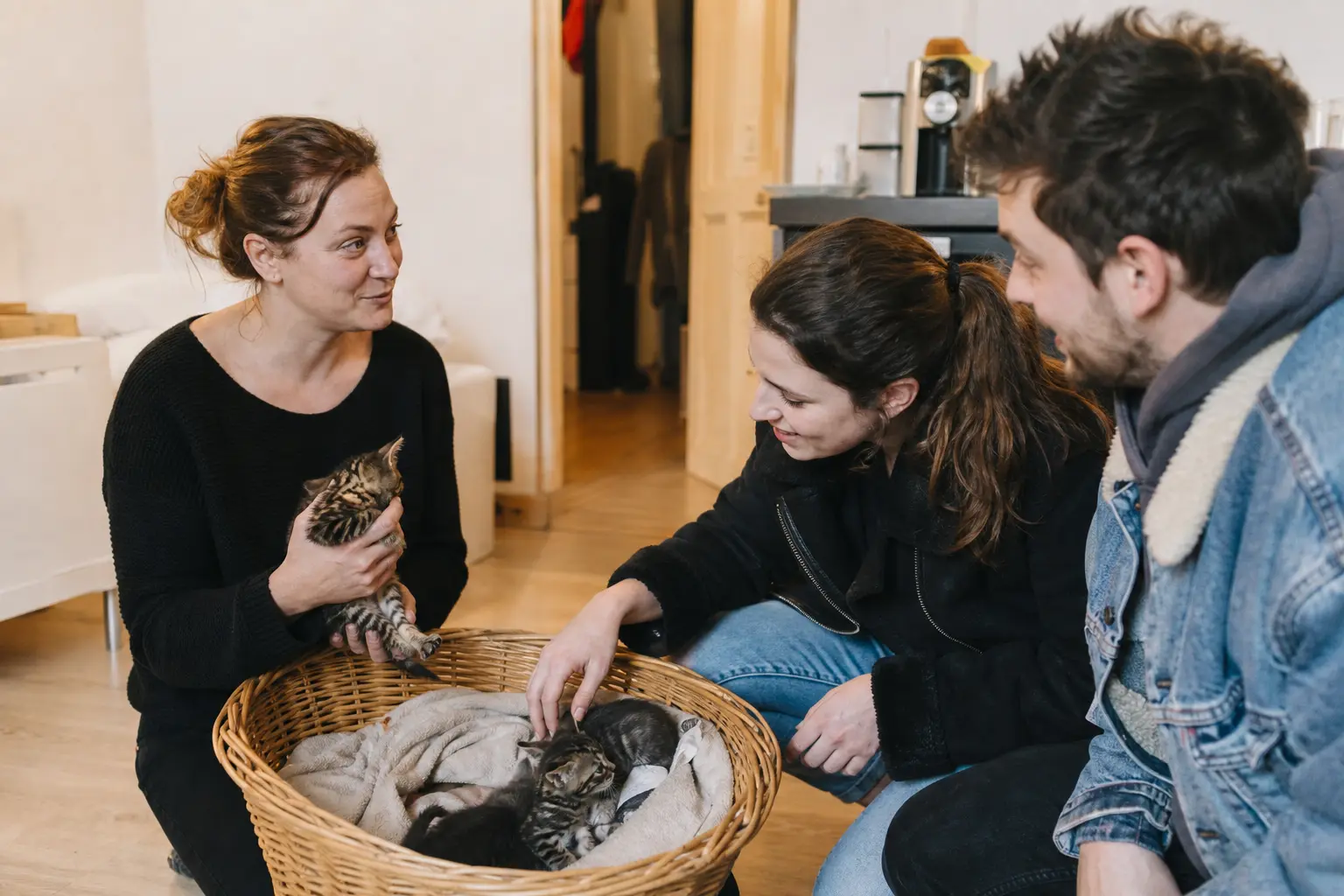 Un couple visite une portée de chatons chez un particulier dans un salon