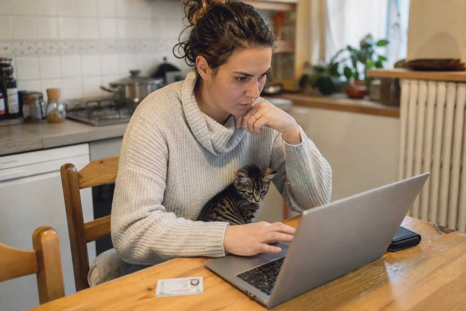 Une femme consulte un site administratif sur un ordinateur portable, la carte d'identification de son chat à côté