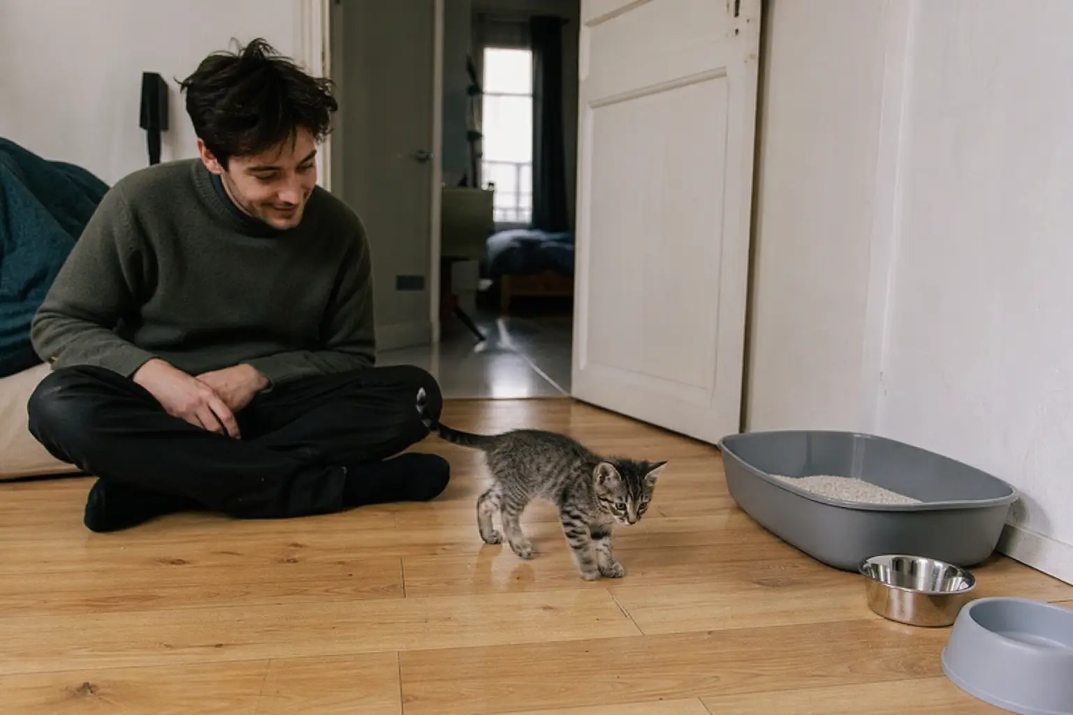 Un chaton explore un salon pour la première fois, gamelles et litière neuves dans un coin