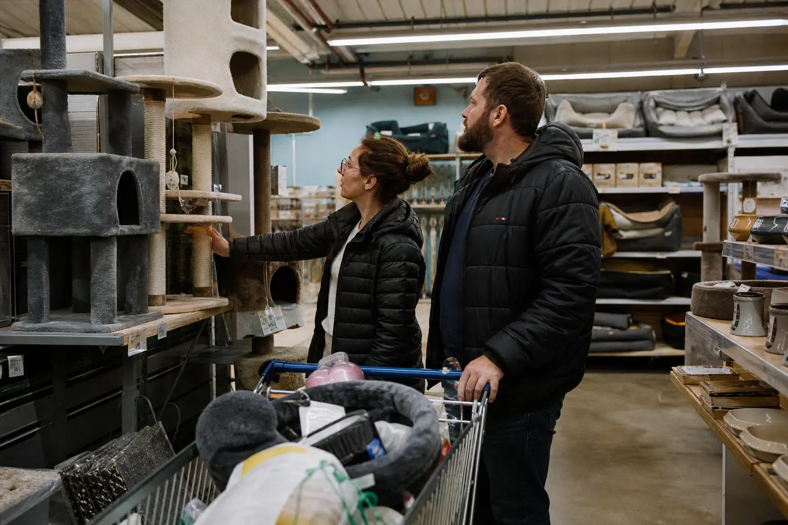 Un couple compare deux arbres à chat dans le rayon d'une animalerie