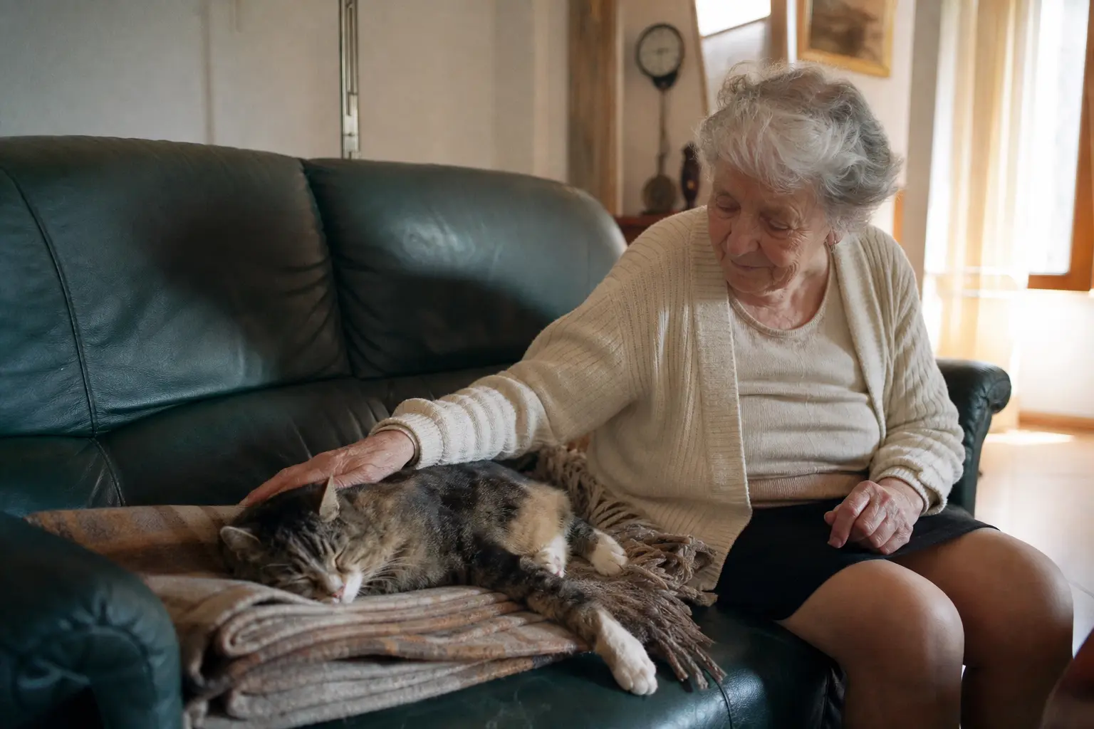 Une femme caresse un vieux chat allongé sur une couverture épaisse près d'un radiateur, lumière douce de fin de journée