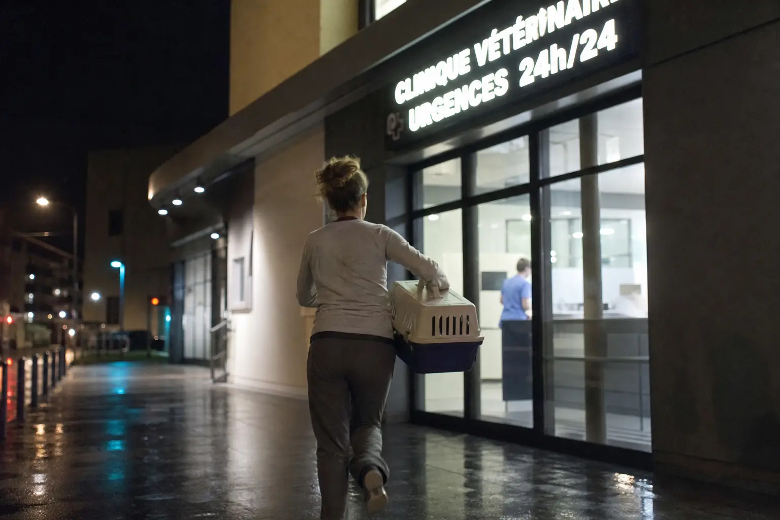 Une femme court vers l'entrée d'une clinique vétérinaire d'urgence la nuit avec une caisse de transport