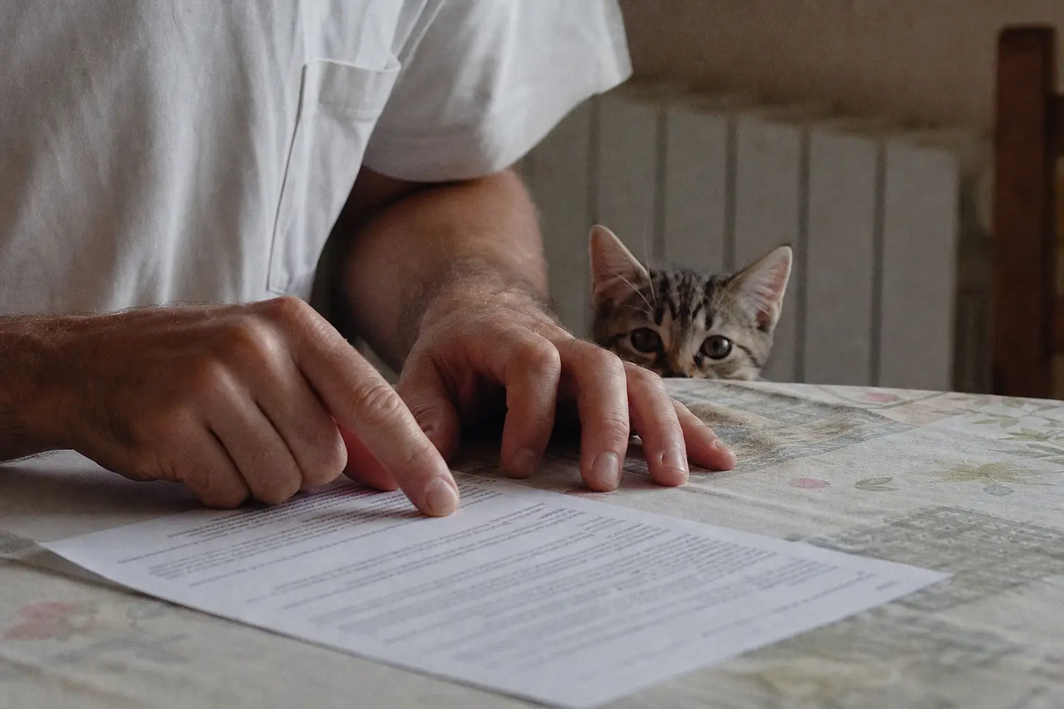 Un homme suit du doigt les petites lignes d'un contrat d'assurance, un chaton assis derrière la feuille
