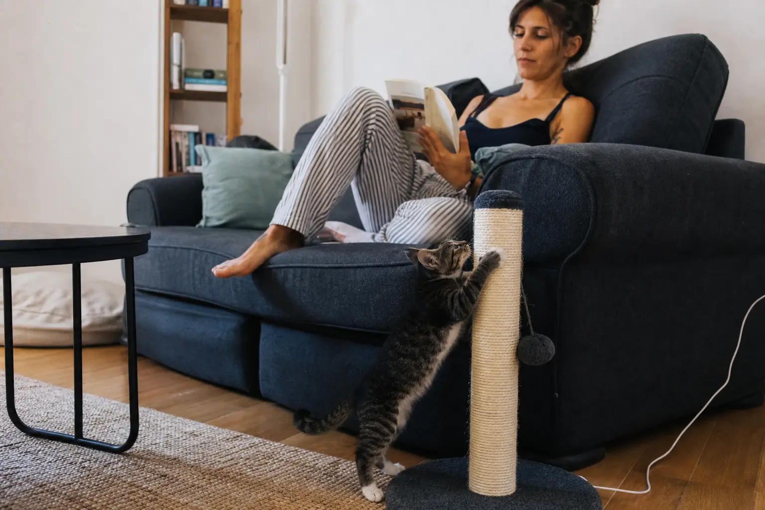 Un chaton fait ses griffes sur un griffoir en sisal posé près d'un canapé