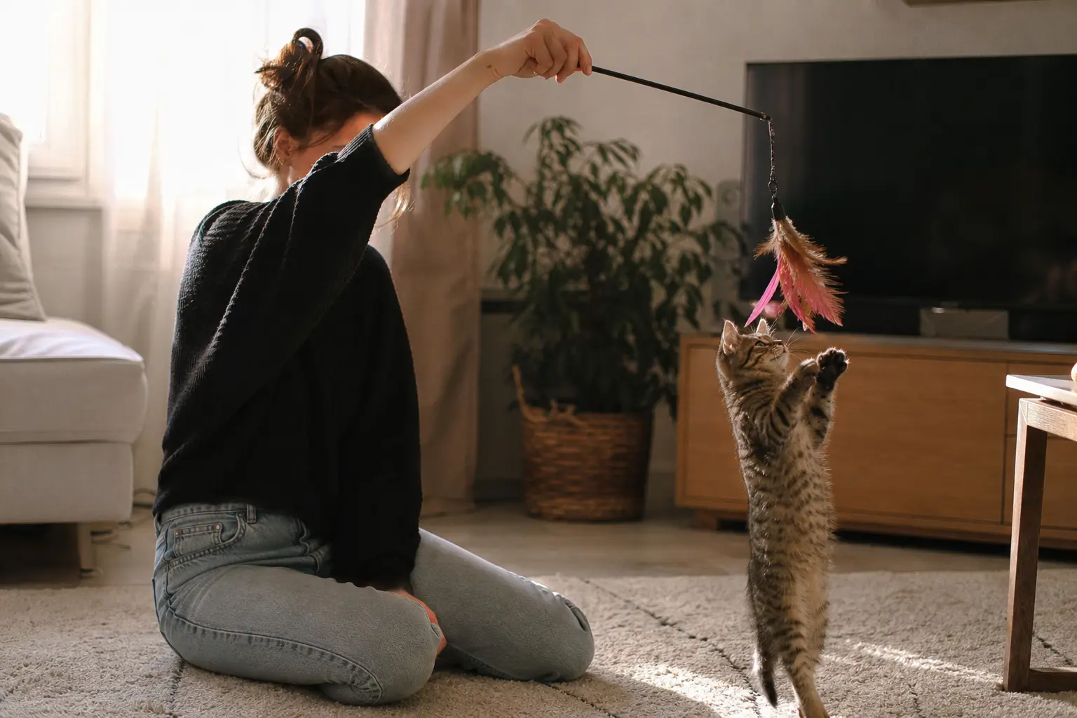 Une femme agite une canne à pêche à plumes au-dessus d'un chaton qui bondit dans un salon