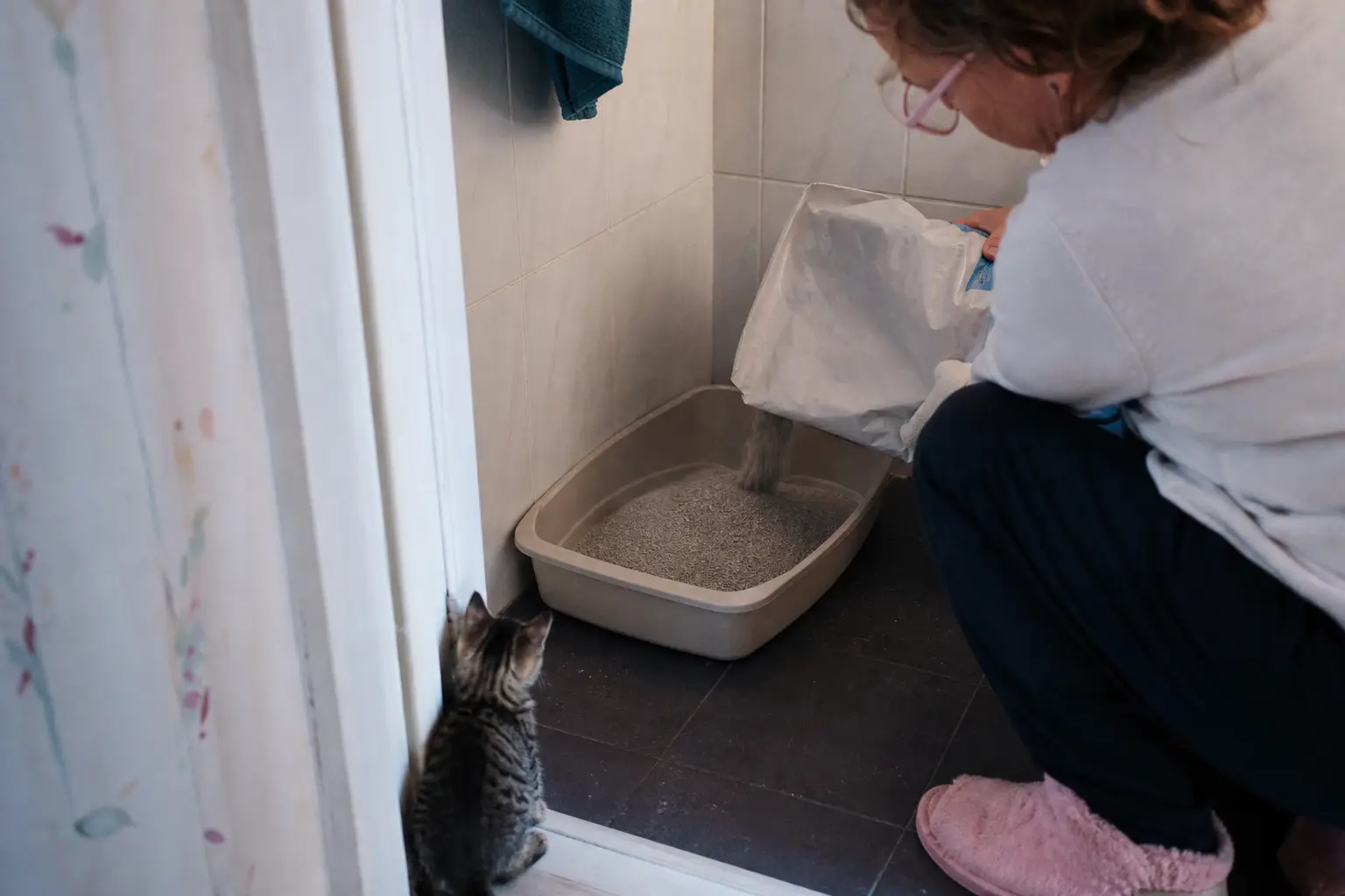Une femme verse de la litière dans un bac ouvert posé dans un coin de salle de bain, un chaton l'observe