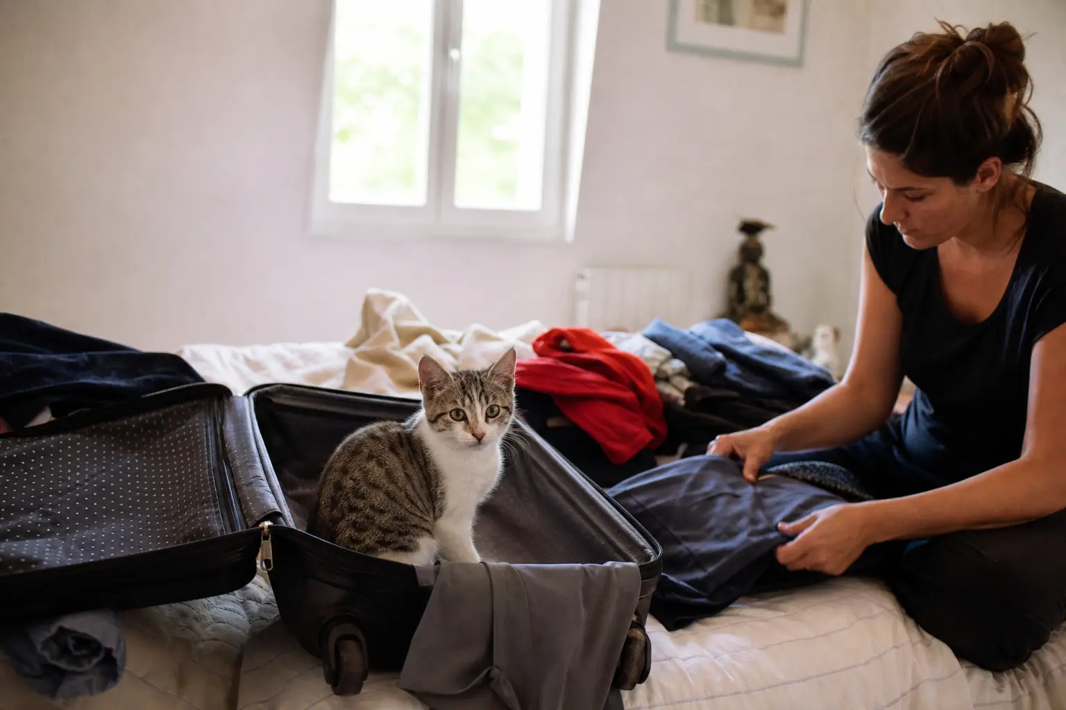 Une valise ouverte sur un lit, un chaton assis dedans, une femme plie des vêtements