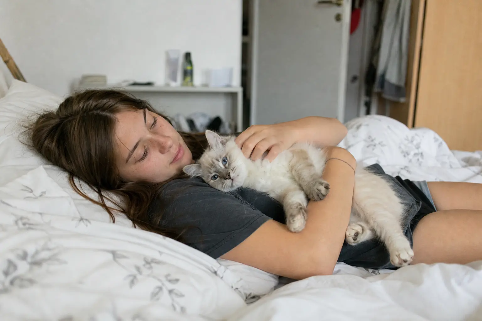 Un chaton Ragdoll aux yeux bleus détendu dans les bras d'une adolescente