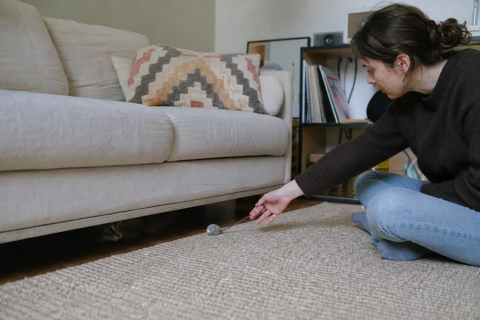 Un chaton caché sous un canapé pendant qu'une femme assise au sol lui tend un jouet