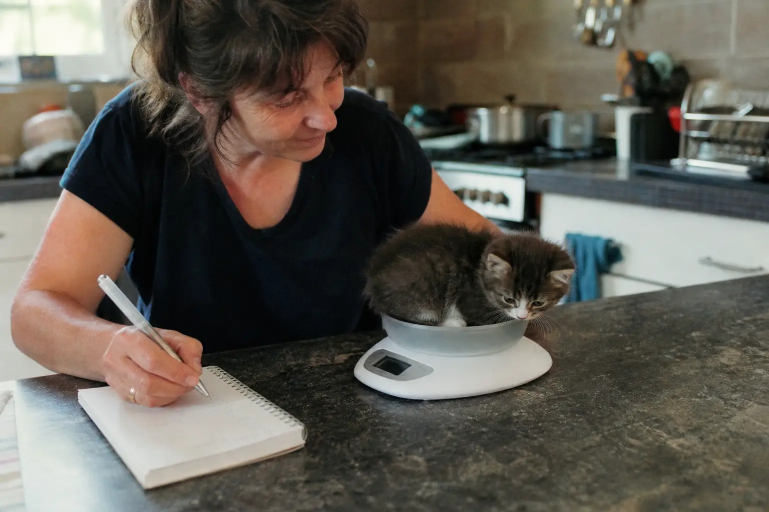 Un chaton pesé sur une balance de cuisine, une femme note le poids sur un carnet