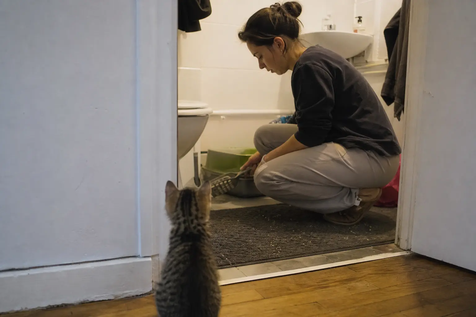 Une femme nettoie une litière dans une salle de bain pendant qu'un chaton l'observe depuis le seuil