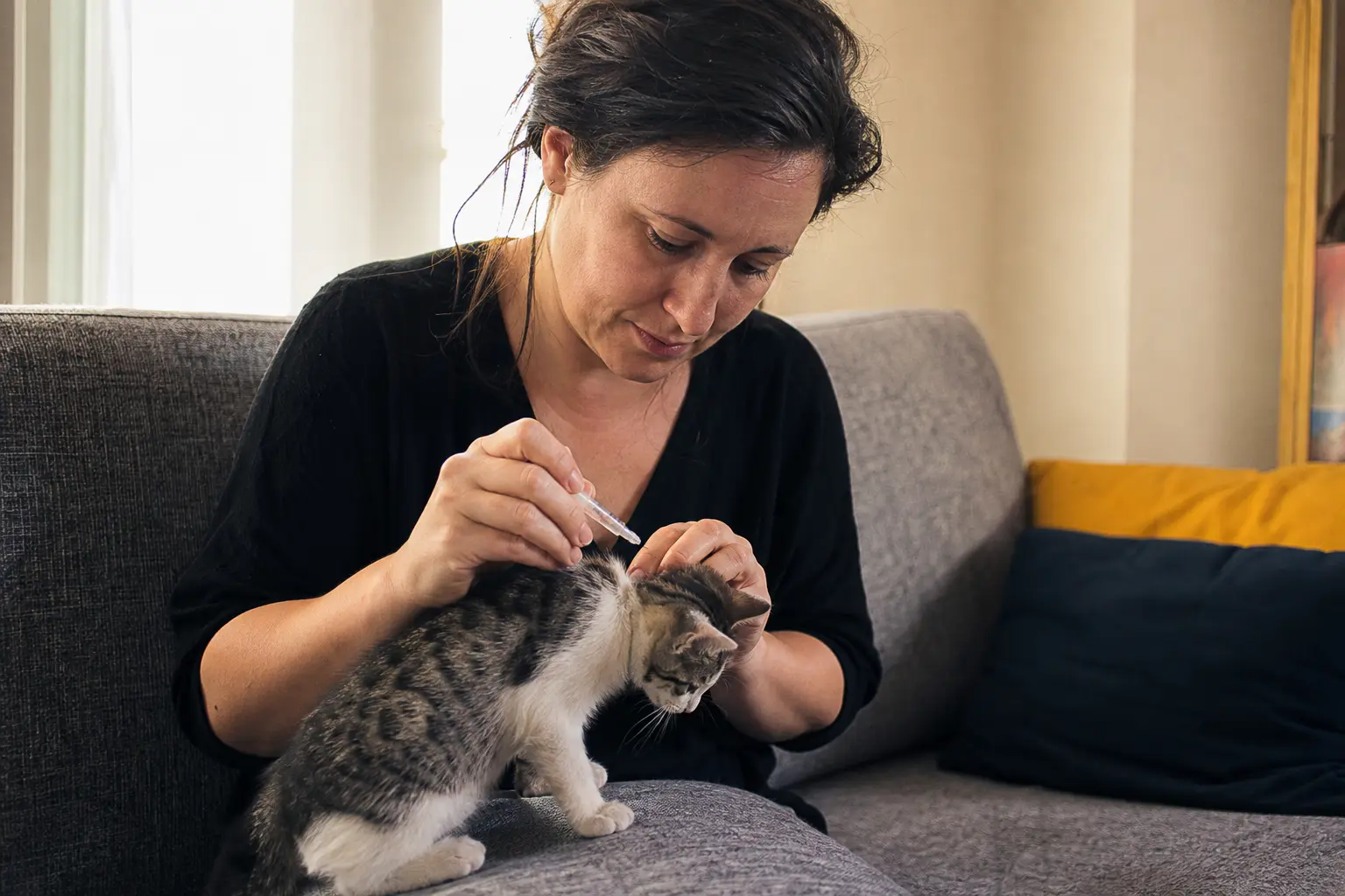 Une femme écarte les poils de la nuque d'un chaton pour appliquer une pipette antiparasitaire