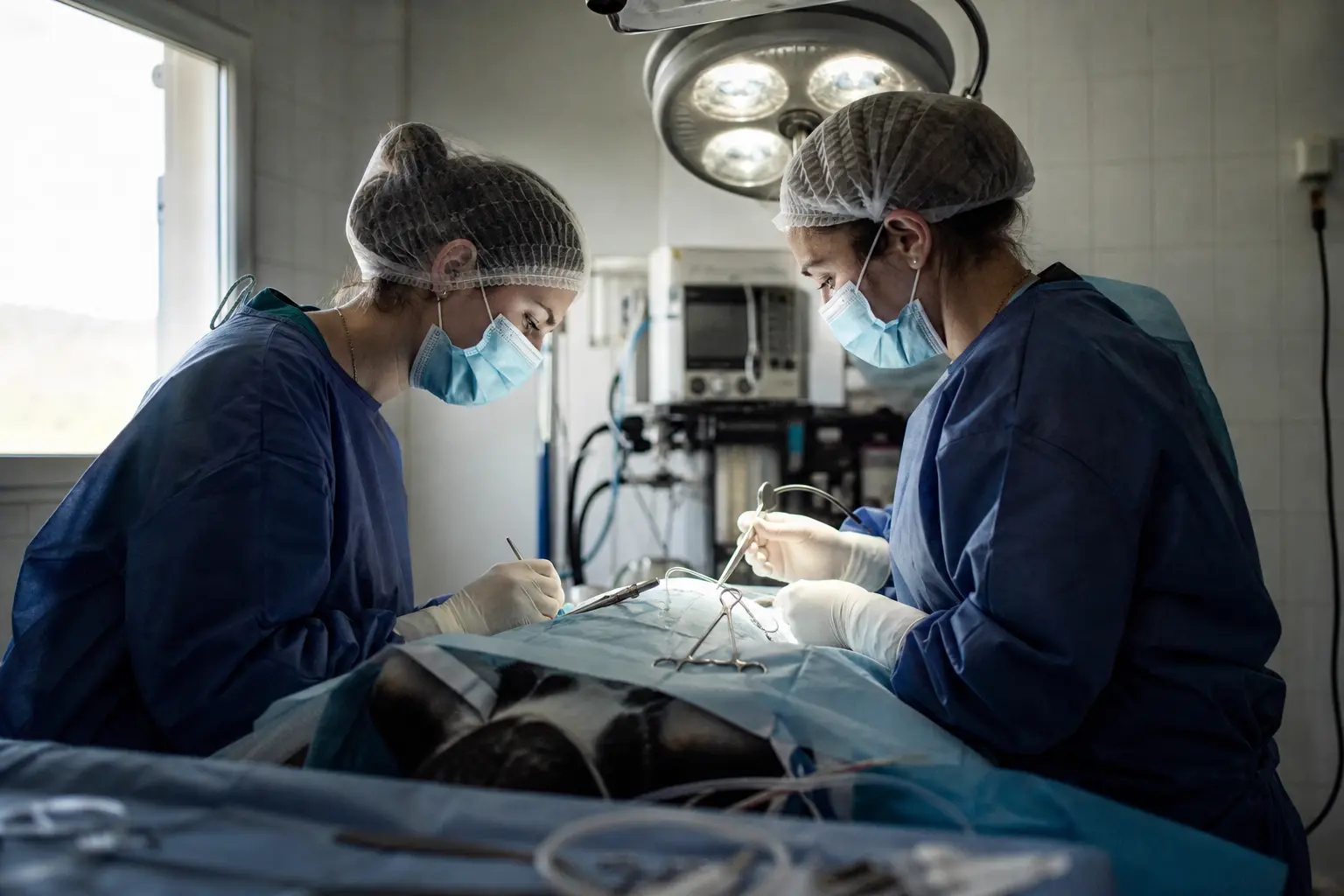 Deux vétérinaires en tenue de bloc opératoire dans une salle de chirurgie vétérinaire