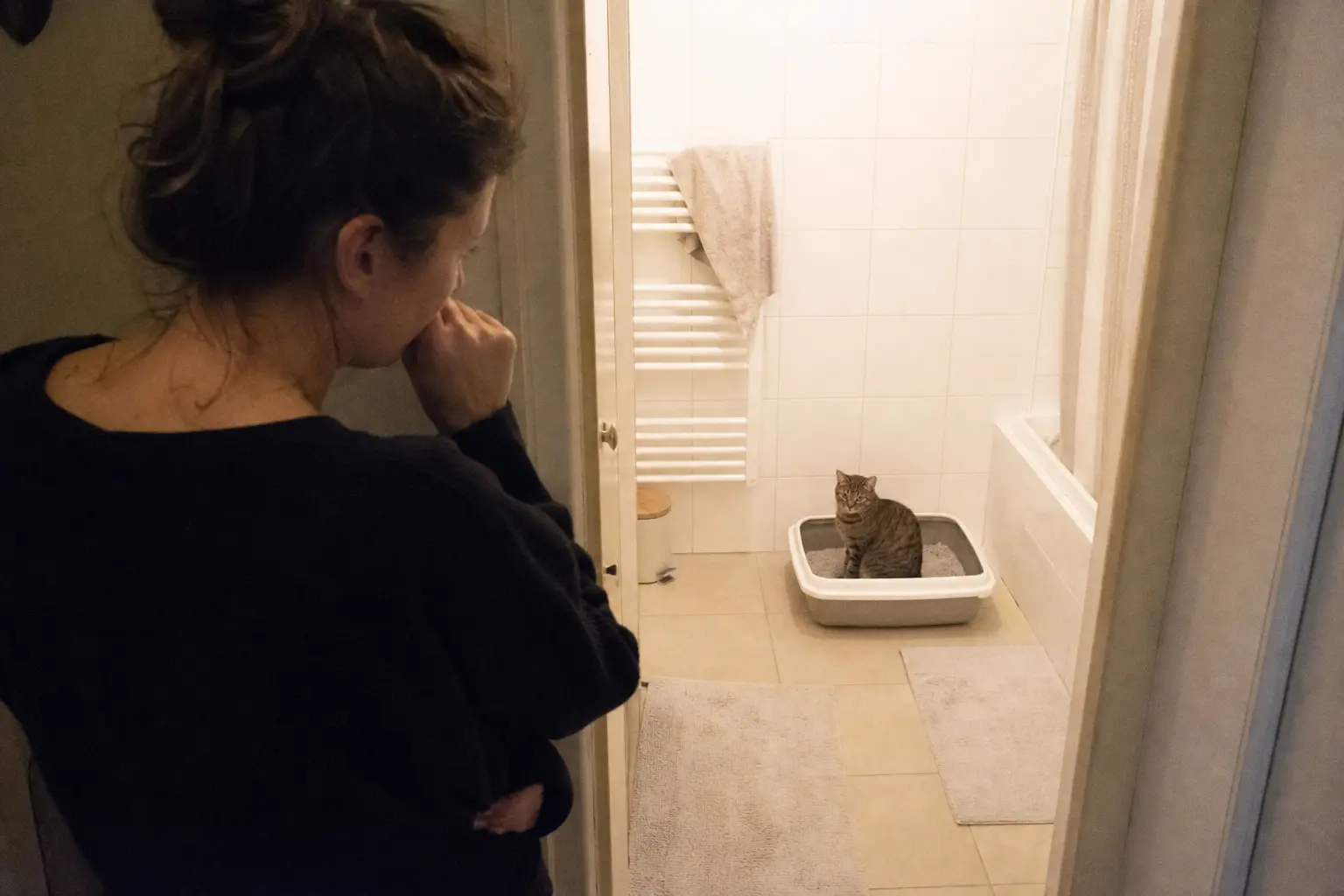Un chat assis dans une litière propre pendant qu'une femme l'observe depuis la porte